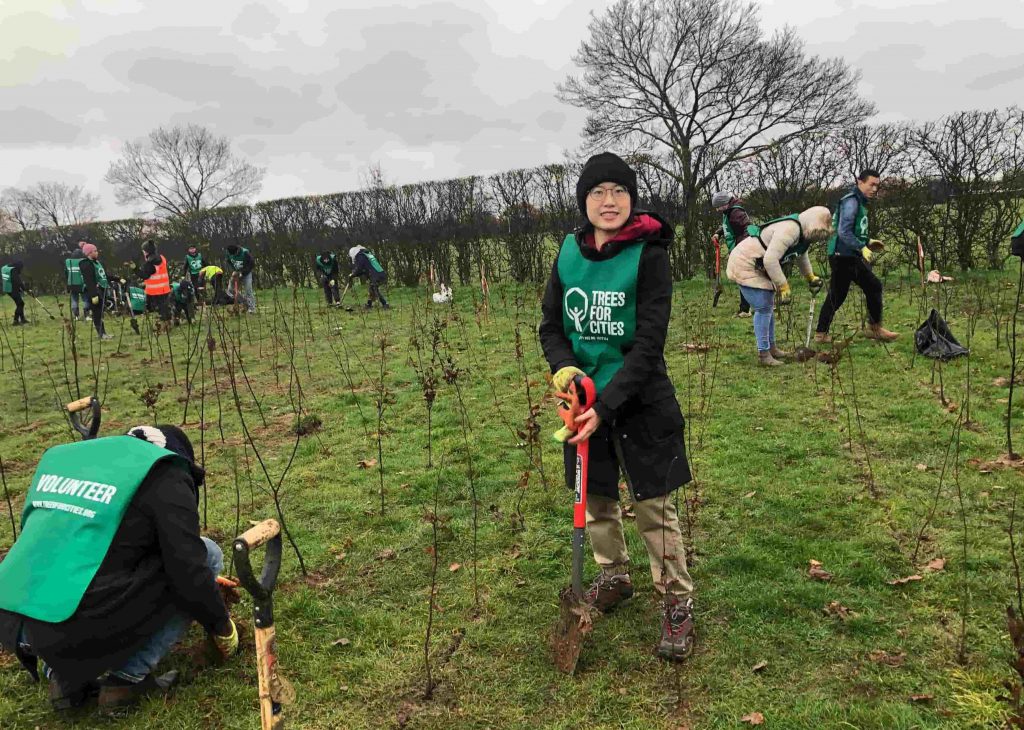 Volunteer, Trees for Cities in London (2018)