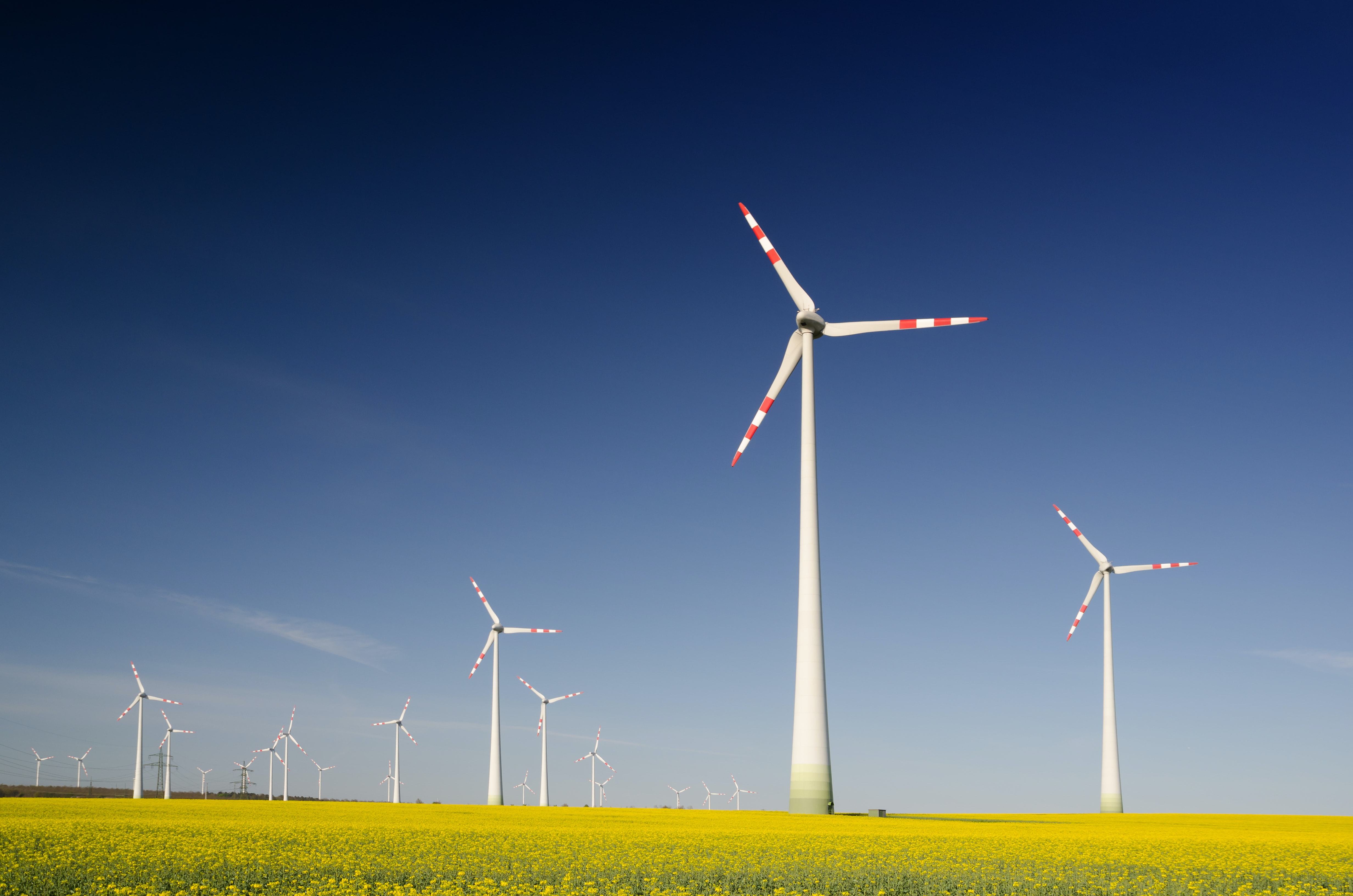 Sustainable Finance 101 Green Bond Principles (GBP) and Green Loan